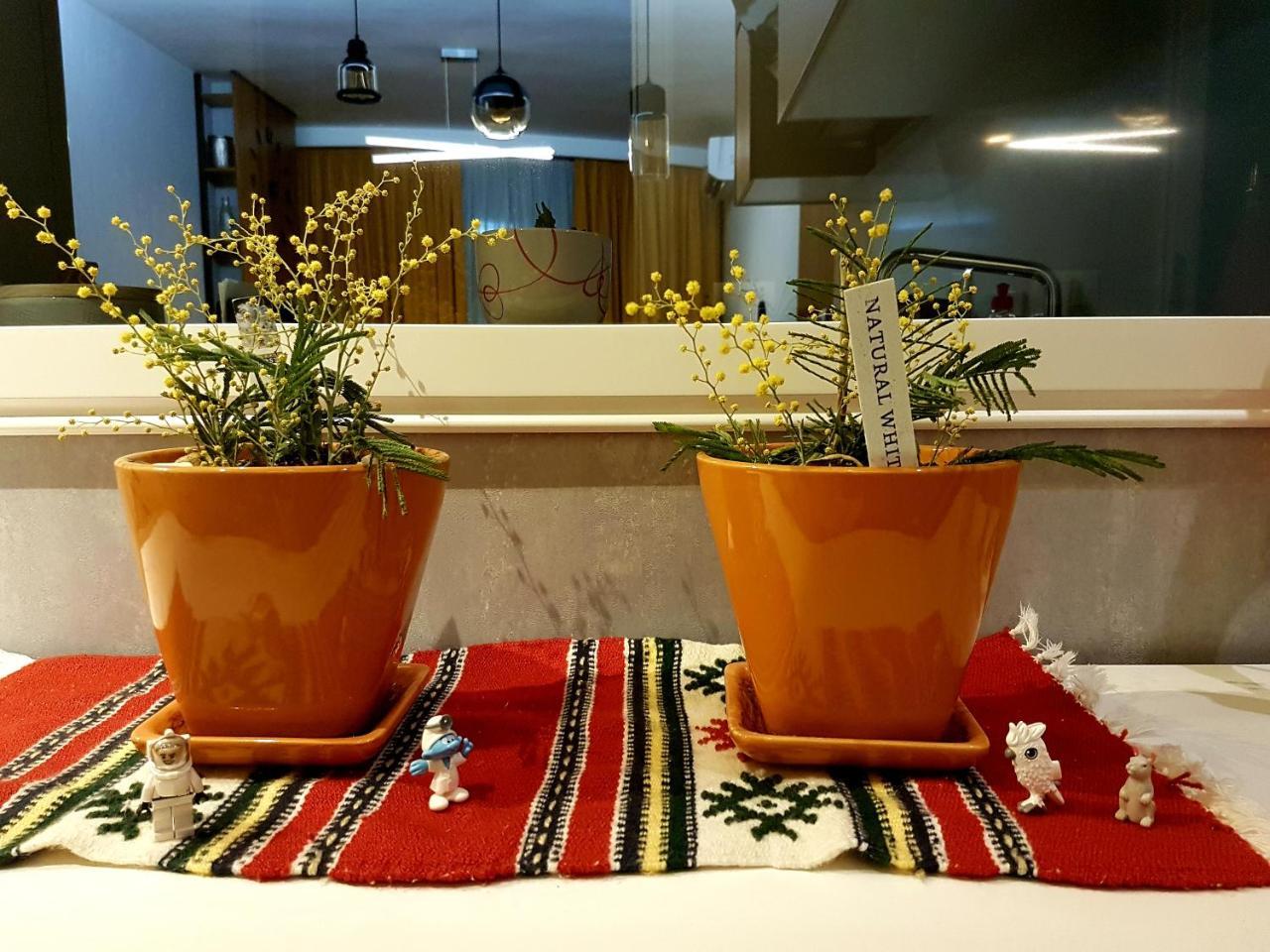 Central Luxury Apartment Тирана Екстериор снимка